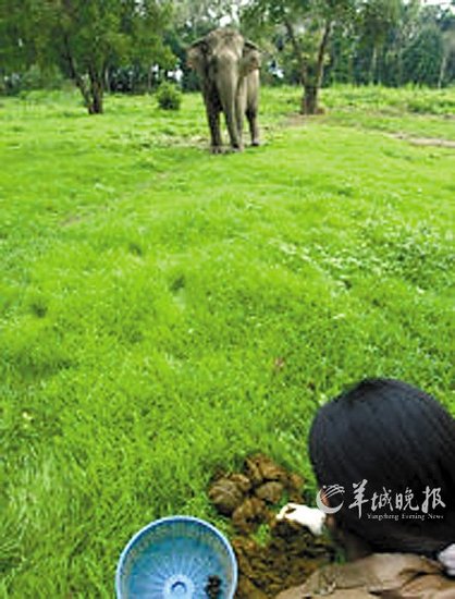 ̩���ô�����й���������� ÿ�����ۼ�1100��Ԫ