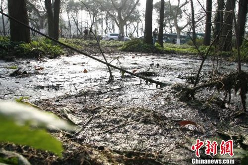 污水直排杭州西湖排污管已被封堵(图)